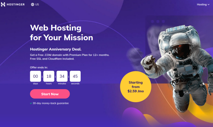 Hostinger Free Domain Review